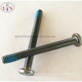 Flat Head Hexagon Socket Screw with Nylok / Pan Head Bolt